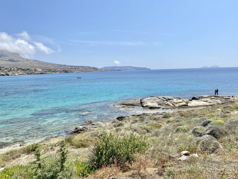 A serene view of Divounia Beach with clear blue waters and sandy shores in Mykonos, Greece.
