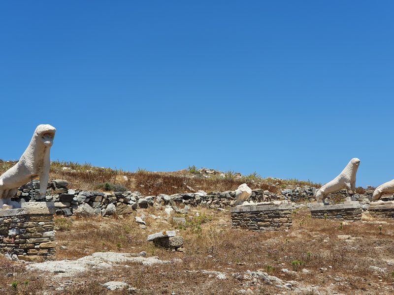 Marble columns rising from the ruined houses of ancient Delos