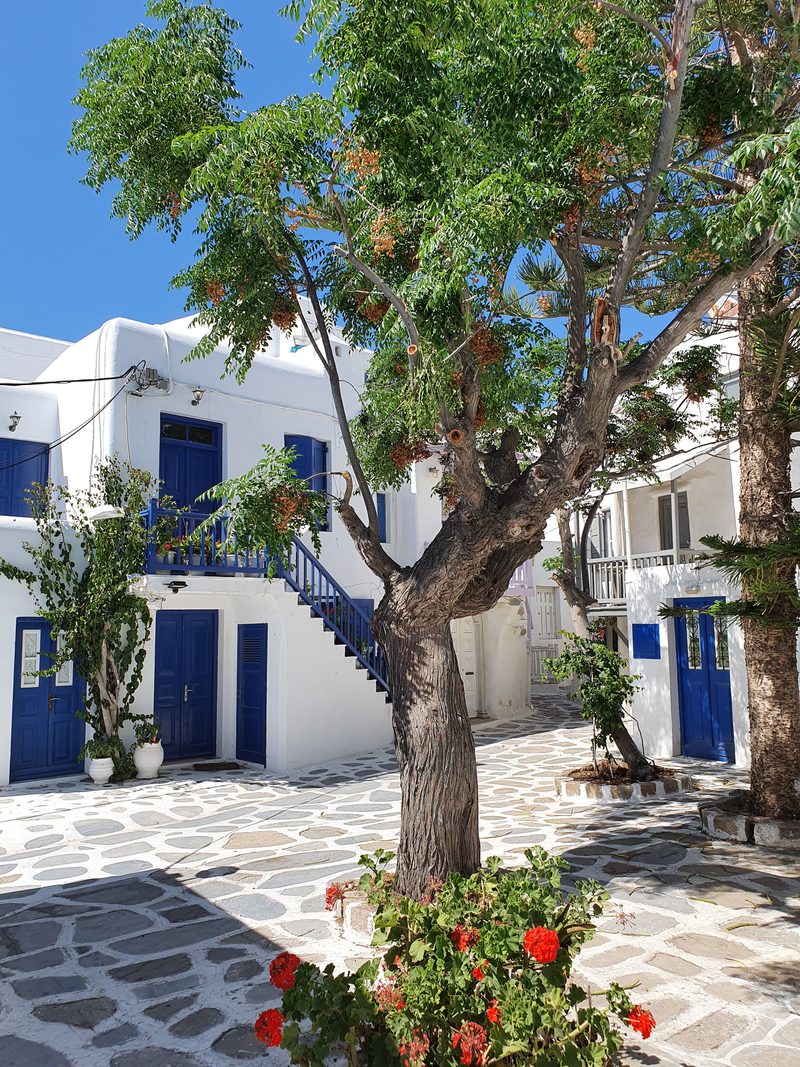 A narrow whitewashed lane in Mykonos town shaded by a bougainvillea tree