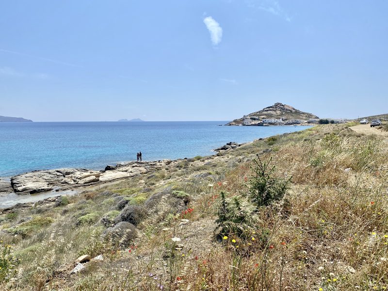 A serene view of Divounia Beach in Mykonos, Greece, with clear blue waters and sandy shoreline.